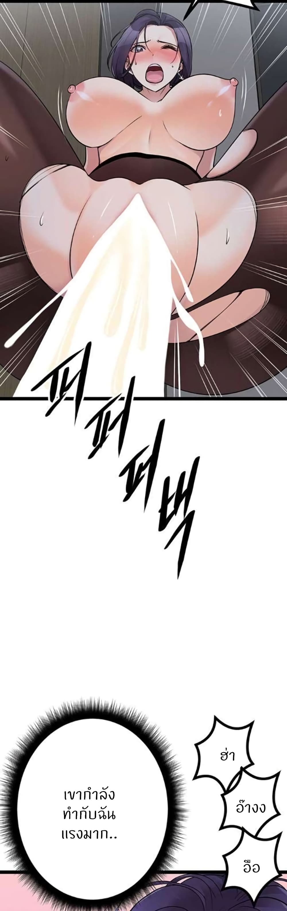 Cucumber Market 23 (14)